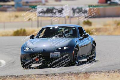 media/Mar-08-2025-Extreme Speed (Sat) [[4abb97269e]]/Blue/Turns 2  and  4 (Session 2)/